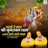 About Chalo Re Man Shri Vrindavan Dham Japenge Radhe Radhe Naam Song